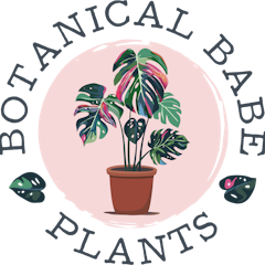 Botanical Babe Plants