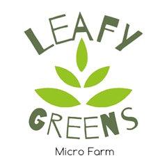 Leafy Greens Micro Farm
