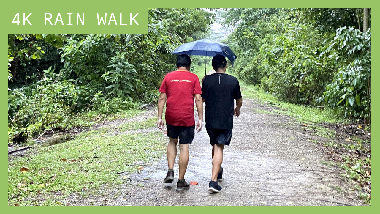 Ambient Walking