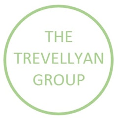 The Trevellyan Group