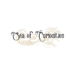 Sea of Curiosities