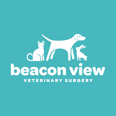 Beacon View Vets