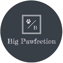 Big Pawfection Ltd
