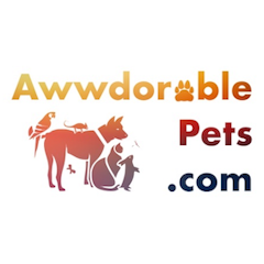 Awwdorable Pets