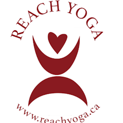 Reach Yoga's Living Sacred Daily Forest