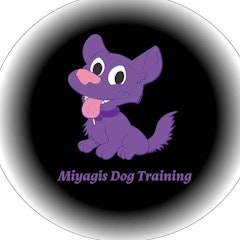 Miyagis Dog Training and Behaviourist Services