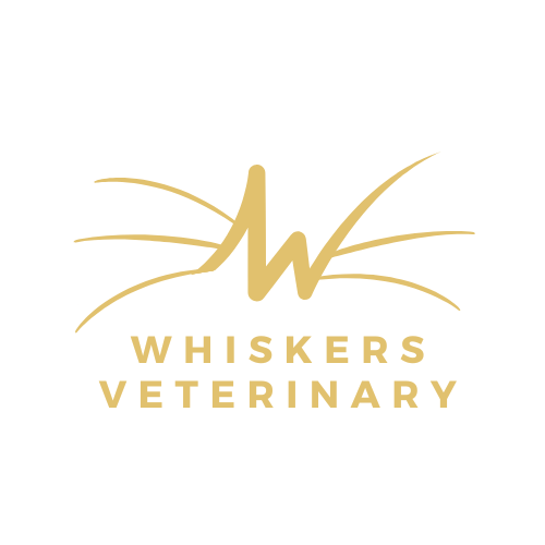 Whiskers Veterinary Practice