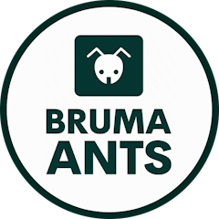 BRUMA Ants