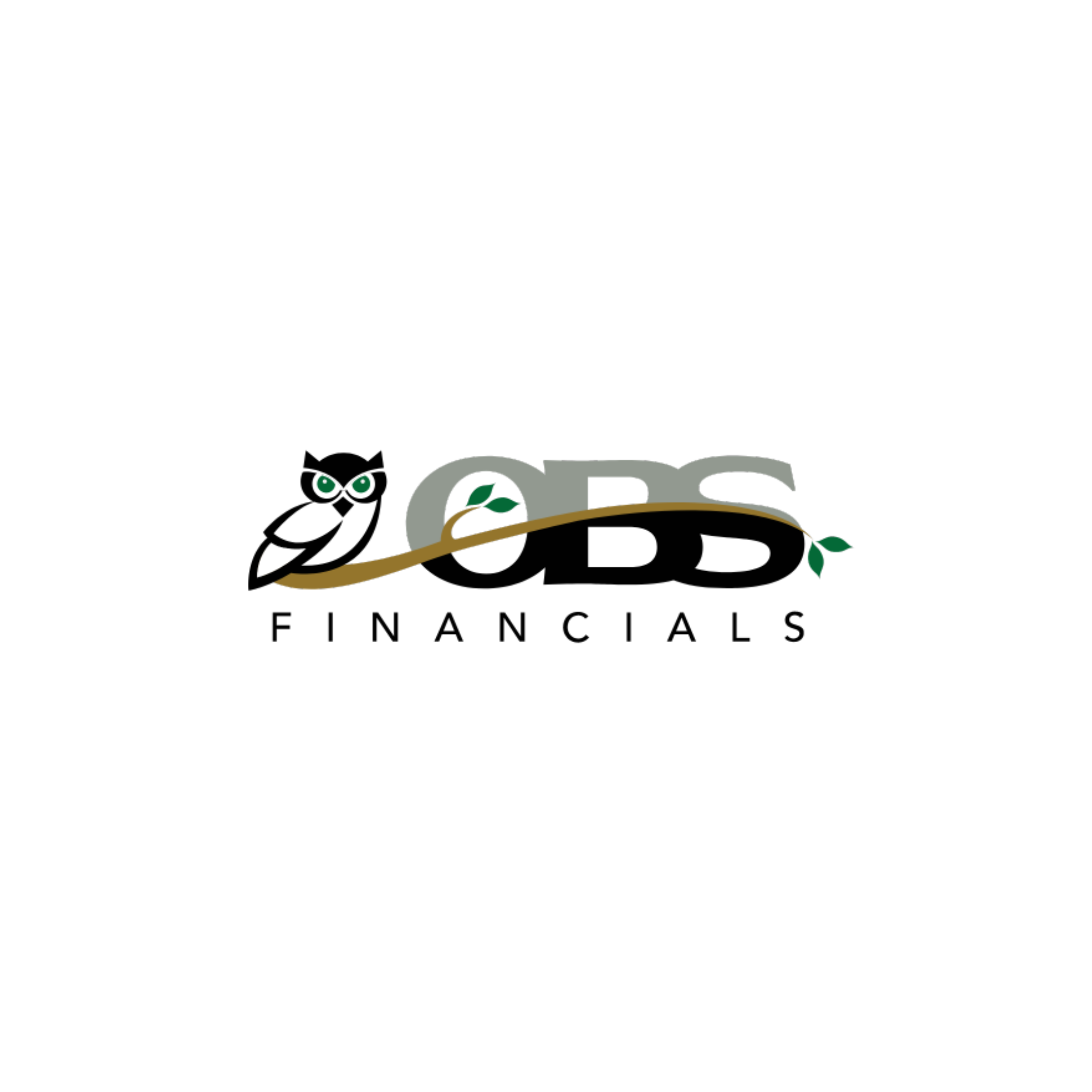 User obsfinancials11