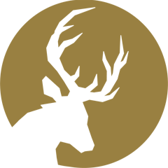 Ranch Creative