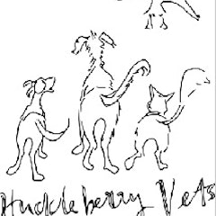 Huckleberry Vets