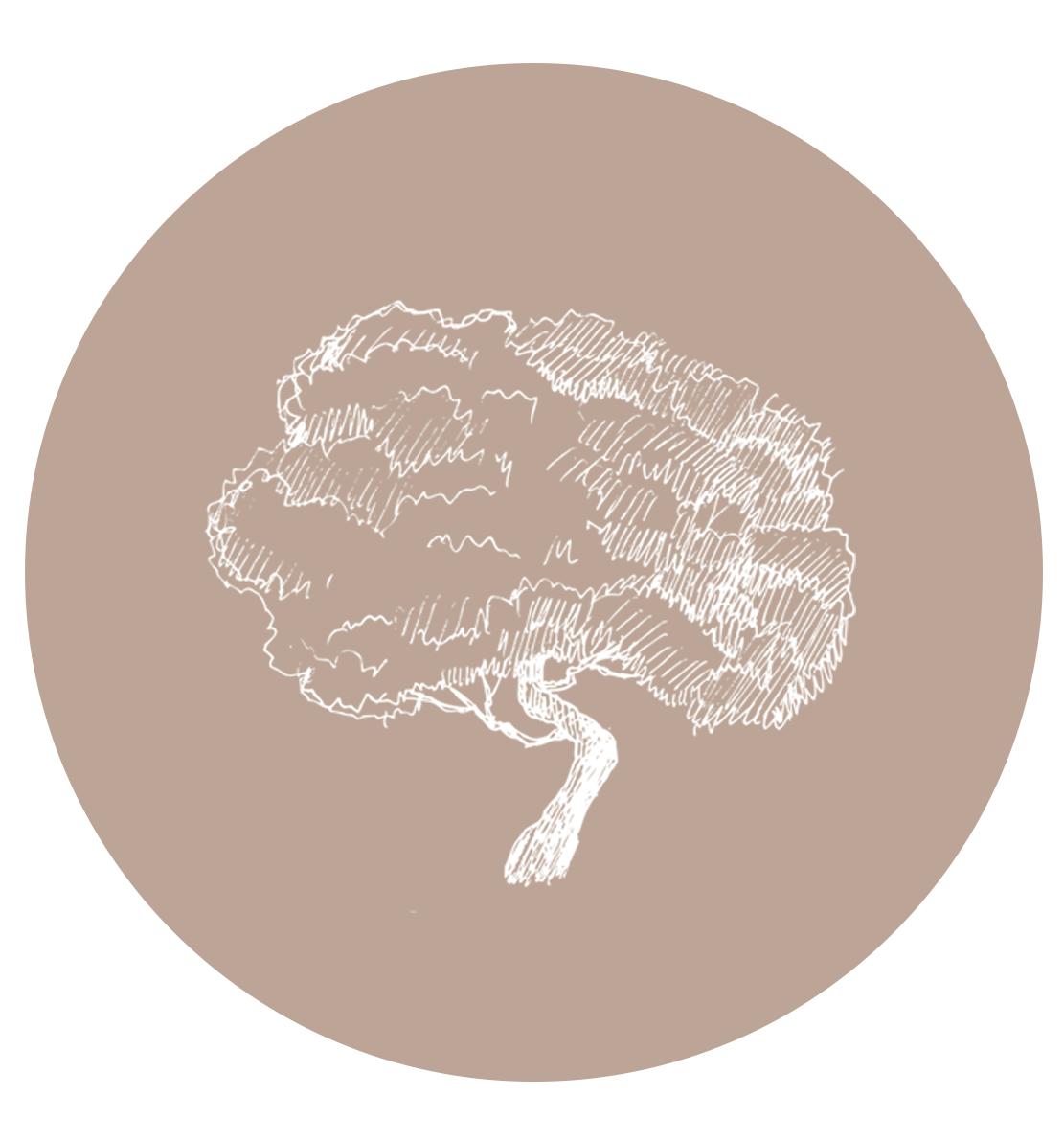 Olive Tree Brasserie