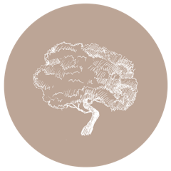 Olive Tree Brasserie