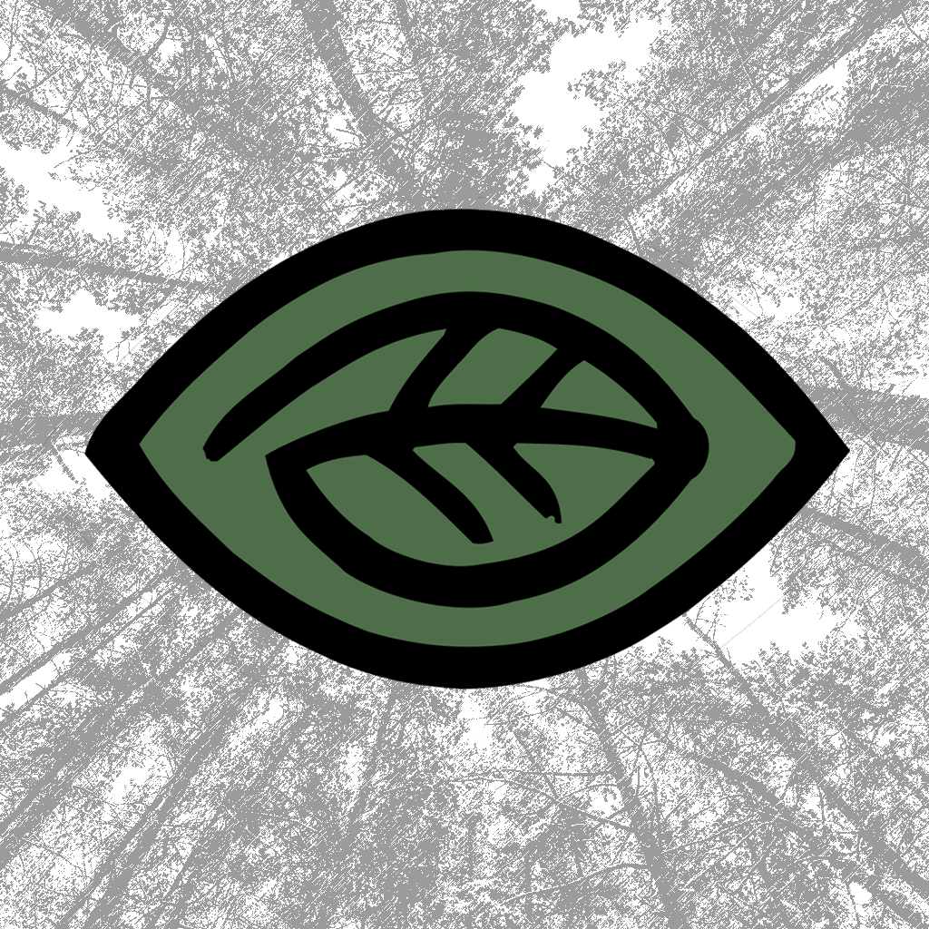 WildAwake