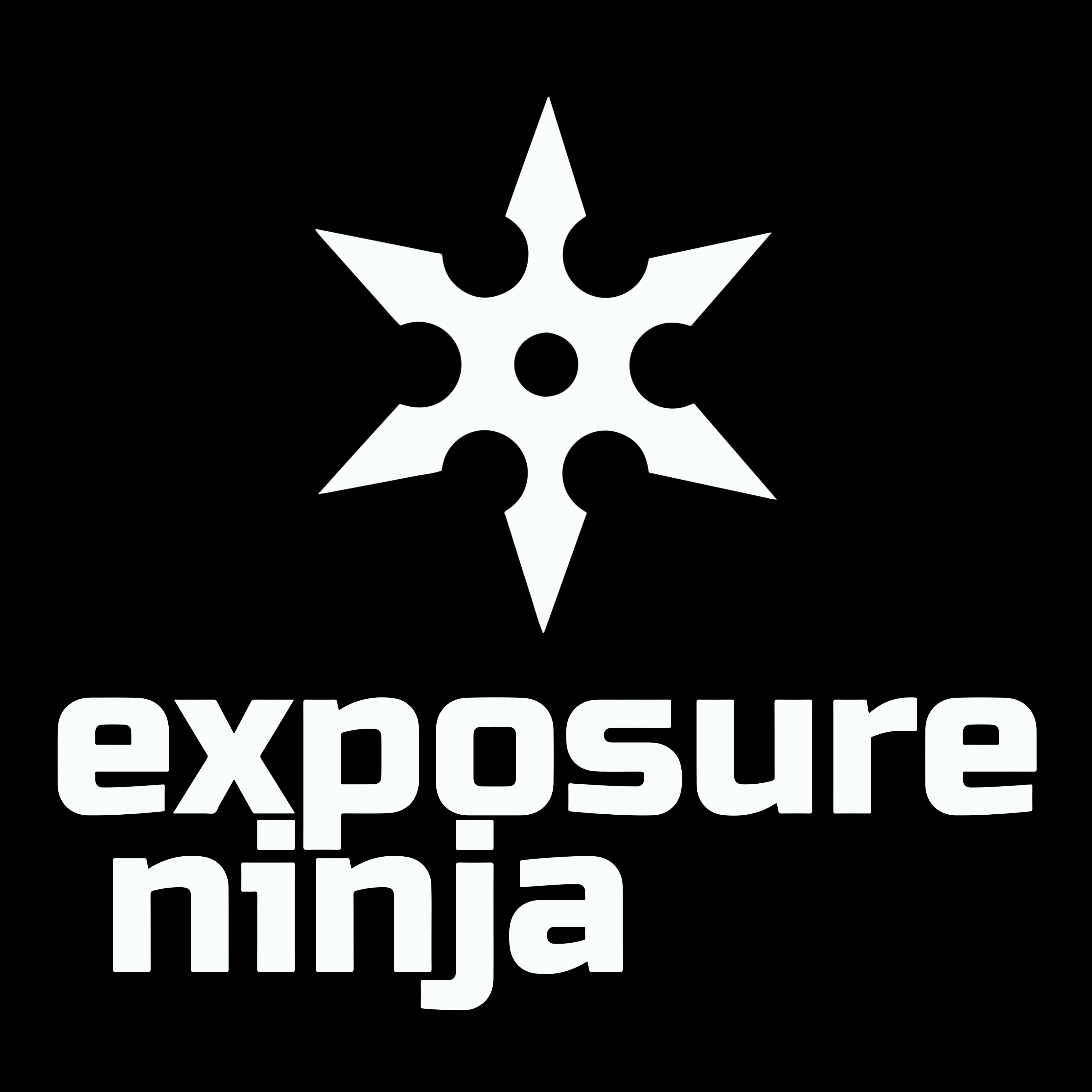 Exposure Ninja