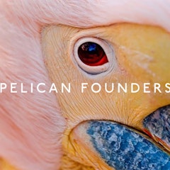 Pelican Founders Ltd